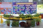 กิจกรรม : กิจกรรมการคัดสันกิจกรรมพัฒนาชุมชนดีเด่น